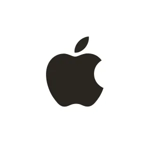 Apple Pay Logo.